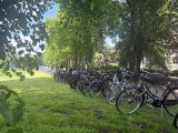 Lange Fahrradreihen entlang der Promenade gehörten auch diesmal wieder zum vertrauten Bild des Flohmarktes.