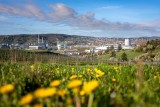 Blick ins Neckartal ©Sebastian Wenzel